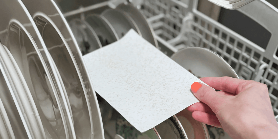 The Eco-Friendly Dishwashing Revolution